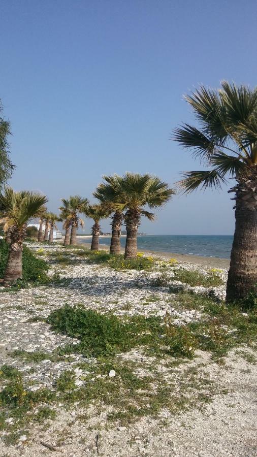 Il Mare Villa Larnaca Exterior photo