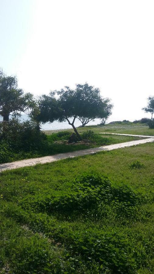 Il Mare Villa Larnaca Exterior photo