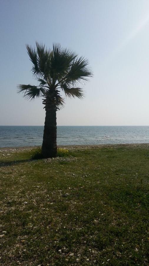 Il Mare Villa Larnaca Exterior photo